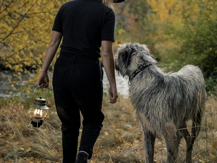 Barebones Railroad Lantern - Olive 6 Barebones Railroad Lantern - Olive - Afbeelding 6